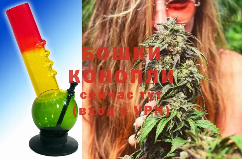 где можно купить   Игра  Бошки Шишки OG Kush 